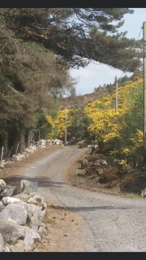 Heather Cottage, Creeslough Ngoại thất bức ảnh